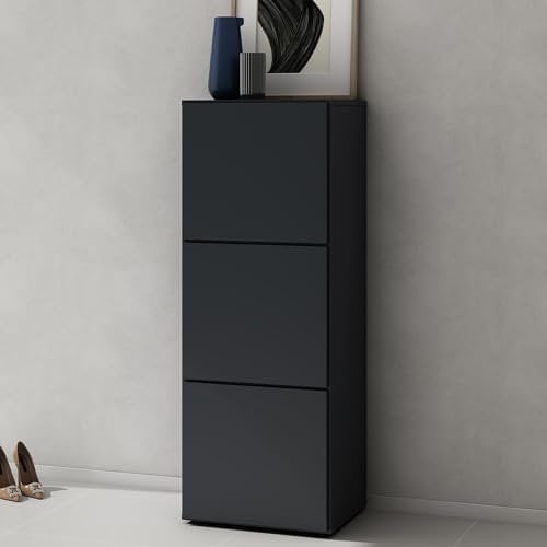 doporro Schuhschrank Schuhregal Schmal Schuhkommode 45 cm Schuhschrank in Anthrazit matt Holz Aufbewahrung für Schuhe mit 6 Fächern Schuhschrank02