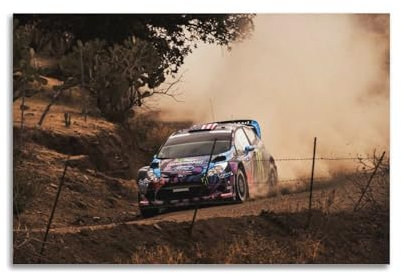 YTNSA Supercar-Poster, Fiesta, WRC Rallye-Rennwagen, Drift-Poster, dekorative Malerei, Leinwand, Wandposter und Kunstdruck, moderne Familienschlafzimmer-Dekoration, Poster, 30 x 45 cm