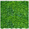 Qucarder Green Leaf Wall Shower Curtain Outdoor Garden Theme Bath Curtain Waterproof Shower Curtains for Bathroom Decor with 12 Hooks 72x72 Inch