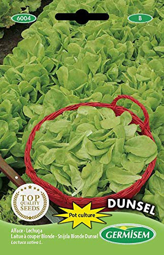 Germisem graines Laitue à couper Blonde DUNSEL
