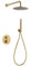 IMEX - Conjunto de ducha termostática empotrado pared, Kit Termostático Ducha Empotrado 2-Vías - Grifería baño SERIE LINE Oro Cepillado - GTD038/OC