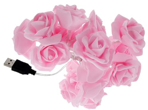 PRETYZOOM Fairy Lichterkette Mit Bunten Rosenlichtern Für Hochzeiten Und Zimmerdekoration Usb Betrieben Für Feiern Und Anlässe