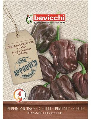 BAVICCHI PEPERONCINO HABANERO CHOCOLATE SEMI PICCANTE