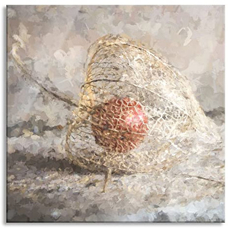 Pixxprint Glasbild, Wandbild auf Echtglas, Physalis, 80x80 cm, inkl. Aufhängung und Abstandshalter