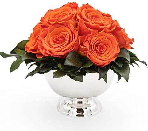 ROSEMARIE SCHULZ Heidelberg Infinity Blume in silberfarbenen Becher ewige Rose konserviert Blumenstrauß langhaltend (Orange, 11 Rosen)