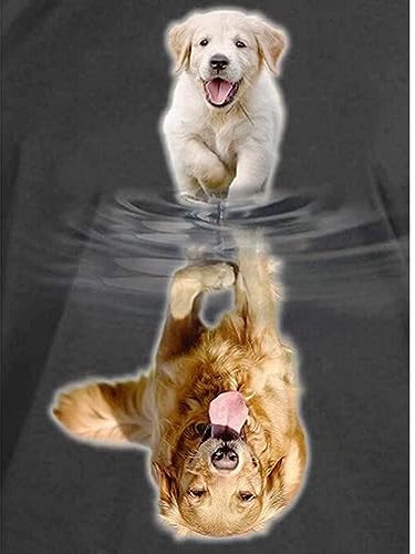 UNIQUORS DIY 5D Diamant Malerei Full Runden Drill Diamond Painting Kristall Strass Stickerei Bilder Kunst Handwerk für Home Wall Decor Geschenk Hund 30 x 40 cm