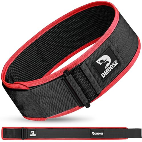 Dmoose Gewichthebergürtel, 4 Autolock Nylon Gürtel, Functional Training Bodybuilding Fitness Gürtel Für Kraftraining, Powerlifting, Weightlifting Belt, Back Support Männer Damen