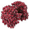 Bekecidi Weihnachtsschaum Frostfrucht Beerenblume, 1,5 cm im Durchmesser Künstliche Gefrostete Beeren Girlandenmaterial Zubehör, Weihnachtsbaumschmuck Zuhause Weihnachtsfeier Lieferungen (Dark red)