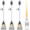 Lightsjoy 3er Hängelampe mit Batterie Outdoor Indoor Akku Pendelleuchte Dimmabel Lampe Hängend mit Fernbedienung IP65 Wasserdicht Deckenlampe Schwarz Außen Batteriebetriebene kronleuchter