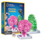 National Geographic Crystal Garden Growing Kit for Kids - Educational Science Kits for Kids Age 8+ Grow Genuine Rose Quartz Crystal Covered Trees | STEM Gifts for 8+ Year Old Boys and Girls