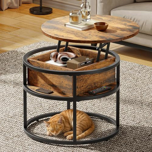 DWVO Lift up Coffee Table for Living Room, Small Coffee Tables with Lift Top, 60x60x47cm, Coffee Table Round with Metal Frame and Hidden Storage