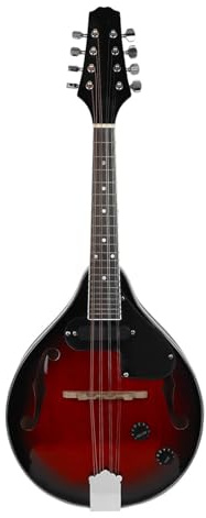 Mandolin Kits Mandolin An 8string Electric Eight String Instrument For Beginners And Adults(6)