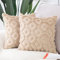 Madizz 2er Set Sanft Plüsch Kurze Wolle Samt Dekorativ Zierkissenbezüge Luxus Stil Kissenbezug für Sofa für Schlafzimmer Khaki 30x30 cm Quadrat