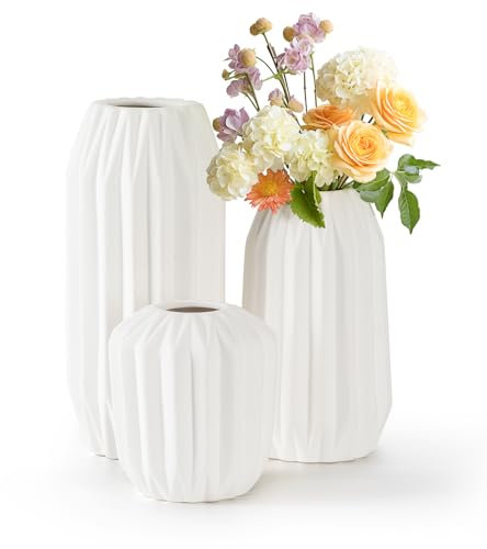 Cinnani Juego de 3 Jarrón de Cerámica Blanco- Jarrones Decorativos modernos, Jarrones Minimalistas de Hierba de la Pampa en Estilo Boho, Flores Frescas para Flores Secas Dormitorio Hall