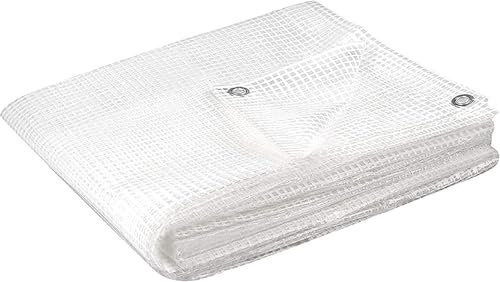 Abio Telone protettivo di copertura, 5 x 6 m, trasparente, 100 g/m², impermeabile, con occhielli, in tessuto, per giardino, giardino, campeggio, trasparente, 100 g/m², 5 x 6 m