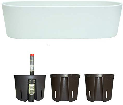 Set5 Kunststoff Flori Pflanzschale Weiss für Hydrokultur L 36.0cm B 13.5cm H 11.0cm