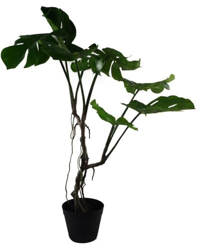 Leaf LEAF-7542 60cm Artificial Twisted Stem Plant, Monstera Vine, 59cm