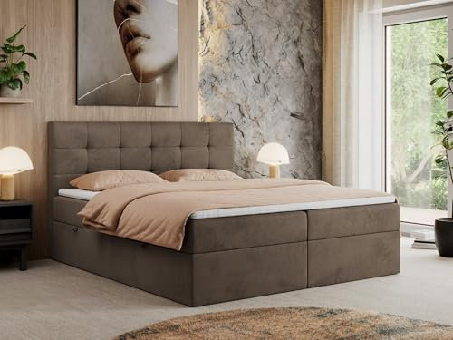 MKS MEBLE Boxspringbett 200x200 Mit Bettkasten, Matratze H3 und Topper - Polsterbett Mit Stauraum - Centos - Braun Velvet