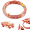 POPOYU Aluminiumdraht 1mm Champagner,50M Draht zumBasteln 1mm Champagner,Golddraht zum Basteln,Schmuck Draht,Aludraht Basteln,Basteldraht für Schmuck Machen Lieferungen und Crafting