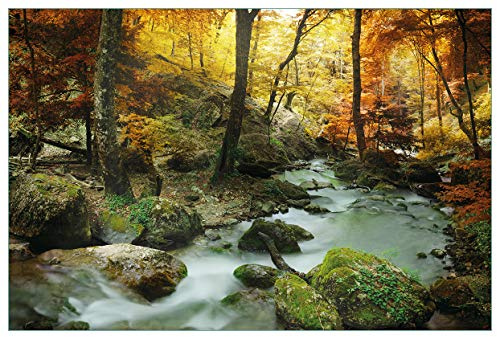 Wallario Küchenrückwand selbstklebend 90 x 60 cm, Motiv: Wasserfall mit moosbedeckten Steinen im Herbstwald | Spritzschutz abwischbar & pflegeleicht