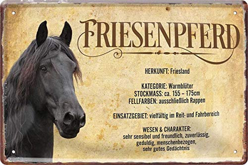 WOGEKA ART Retro Blechschild - Friesenpferd Pferd Steckbrief - witziger Spruch als Geschenk-Idee zum Geburtstag Weihnachten zur Dekoration 20x30 cm Vintage-Design aus Metall 464