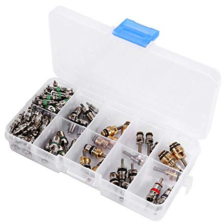 EBTOOLS pour kit climatisation Voiture pour Tire-valves pour raccord gaz clim r134a pour r134a Recharge kit Ensemble de noyaux de Valve, 102PCS Assortiment A/C R134a/R12 Réfrigération Valve Tire Valv
