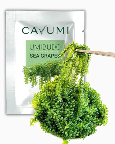 CAVUMI Sea Grapes 25gr / Meerestrauben als Algen Snack/Getrocknete Seealgen/Umibudo als knackiger Grüner Kaviar (25g_1er Pack)