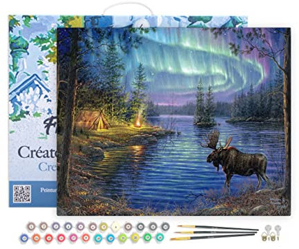 Figured'Art Peinture par Numéro Adulte avec Cadre Elan et aurore boréale - Activité Manuelle Kit de Loisir Créatif DIY Numéro d'Art Complet - 40x50cm toile tendue sur châssis