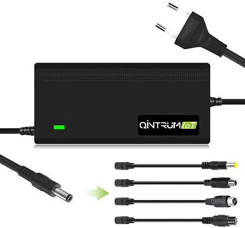 Qintrumiot 42V 2A Cargador Patinete electrico para xiaomi M365,36V bateria Patinete electrico Cargador para Hoverboard Compatible con Patinete xiaomi M365/1S/Lite/MI3/Pro/Pro2 Ninebot ES1/ES2/E22/E25