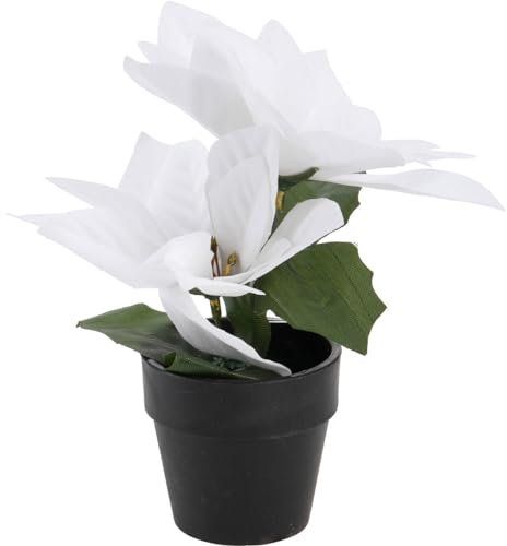 Home & Styling Weihnachtsstern im Topf, künstlich, H. 18 cm, Farbe:weiß