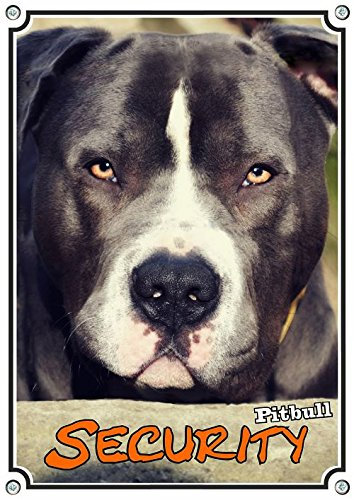 Petsigns Hundeschild American Pitbull Terrier - uv-beständiges Metallschild in Fotoqualität, DIN A3