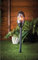 New iHip Bluetooth Flame LED Lights Speaker Table Stand & Garden Spike Accessories.
