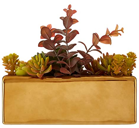 Premier Housewares Mixed Succulents with Ceramic Gold Pot/Small Succulents Plants in Pots/Artificial Succulent Plants Indoors in Pots/Small Succulents Plants / W11 x D27 x H24cm