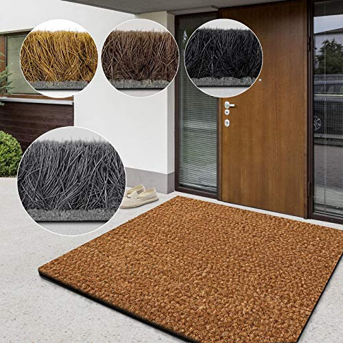 casa pura Paillasson d'entrée en Fibre de Coco Premium,Tapis de Porte antidérapant,Tapis d'entrée Usage intensif,Tapis pour entrée Absorbant,Dense Velours Résistant (Naturel, 17mm-100 x 50 cm)