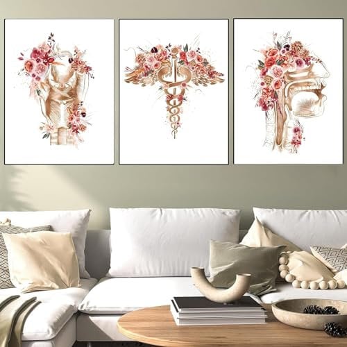 YLHKME Abstrakt Medizin Aquarell Anatomie Bilder Leinwand Malerei, Abstrakt Wandbilder Wohnzimmer Schlafzimmer Deko Poster Kunstdrucke,Ohne Rahmen (Rahmenlos,3X40X50CM)