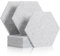 Rdutuok 12 Stück Akustik Panel,30x26x1cm Hexagon Akustik Absorber Schallschutzplatten Akustikpaneele Wand für Tonstudio, Büro,Studio und Wanddekoration (Silbergrau)