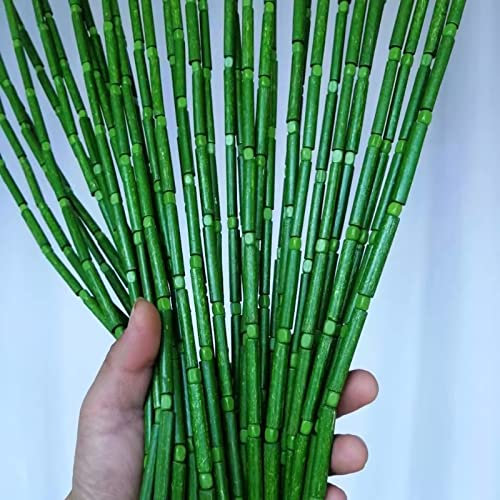 UVCMDUI Perlenvorhang Türvorhang Bambus, Fliegenschutz Terrassentür Türvorhang Saigon, Handgefertigt Perlenvorhang Balkontür Insektenschutz Vorhang, Personalisierung,50 Strands W90xH200cm