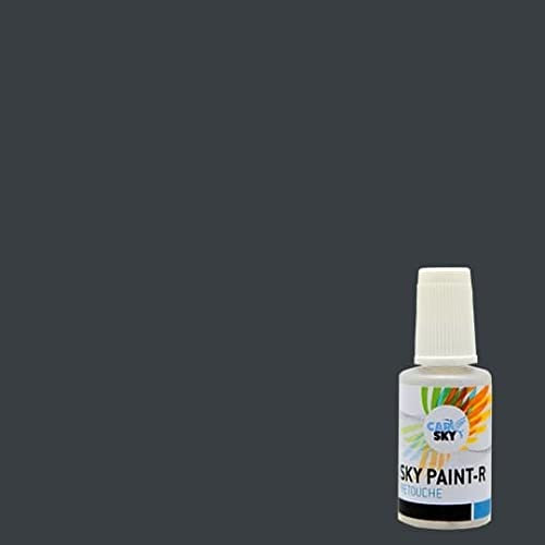 CARSKY Stylo retouche peinture carrosserie compatible avec RAL Gris Anthracite 7016 (flacon pinceau 20ml) + vernis brillant (flacon pinceau 20ml)