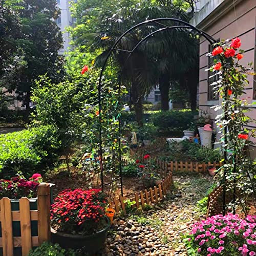 Arco de pérgola de jardín de metal con enrejado Rusoof para plantas trepadoras, ideal para decoración de boda, arco negro extra ancho (80 x 200 cm)