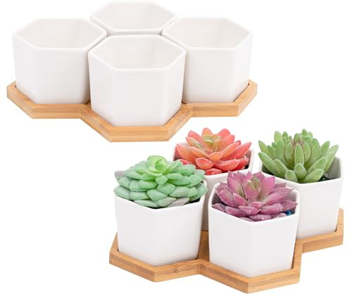 Leismy 2 PCS Succulent Pot Cactus Containers White Ceramic Planter with Drainage Hole and Removable Tray Small Plant Pots for Home Office Decor Bonsai Container for Indoor Outdoor Plants (Honeycomb)