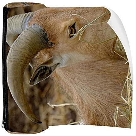 Stifteetui mit Reißverschluss, Münzorganizer, Kosmetiktasche für Damen, Teenager, Mädchen, Jungen, Kinder, Steinbock, Sternzeichen-Hörner