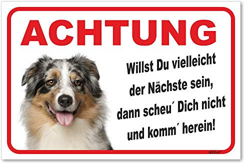 AdriLeo Schild - Vorsicht Australian Shepherd Blue-Merle - Der Nächste - (40x60cm) / Aussie Achtung Hund Wachhund robust langlebig UV-beständig wetterfestes Warnschild