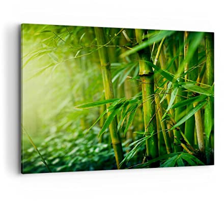 Moderne Impression sur Toile 100x70cm Image Tableau Decoration Murale bambou plante Grand Tableaux Decoratifs Muraux Chambre Cuisine Horizontal Deco Cadre Décoration Salon Art Wall AA100x70-3558