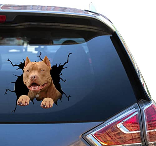 American Bully Aufkleber American Bully Dog Decals Cool Vinal Packs Aufkleber für Mädchen Lustige Vynil Fahrzeuge Aufkleber