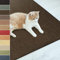Floordirekt Sisal Fußmatte Teppich Vorleger Kratzteppich Katzenmöbel Kratzmatte Sisalmatte, widerstandsfähig & in vielen Farben und Größen erhältlich (160 x 240 cm, Dunkelbraun)