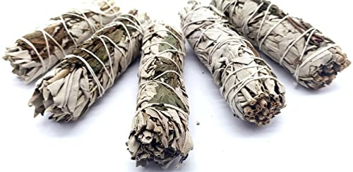 CRIGEMA - Weißer Salbei und Minze - X5 Schläger von 10 cm~ 25 g - Schmudge zur Reinigung - Erste Qualität aus Kalifornien (5)