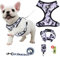 Step in Hundegeschirr und Leine, verstellbar, reflektierend, kein Ziehen, Hundeweste, Geschirr-Set für Welpen, kleine Hunde, mit Schleifen-Halsband, Leine und Kotbeutel, klein, Grau / Camouflage