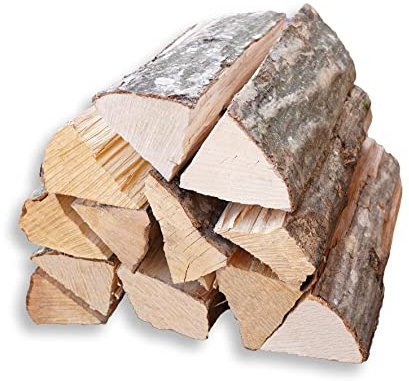 Bois de chauffage en hêtre pour cheminée, four à pizza, grill, brasero séché à l'air, prêt au four, haute valeur calorifique, peu de suie Quantité : 10 kg
