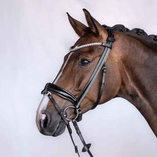 BRIDLERY Trense Velvet : Warmblut Beschläge Silber, Design Standard, Farbe Schwarz, Größe Warmblut