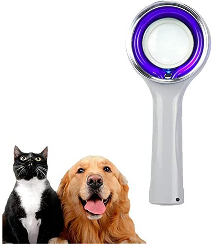 Analyse de la peau de la lampe Woods, lampe d'analyseur de peau portable, pour analyser la peau, tests non destructifs, soins pour chiens/chats, authentitification antique
